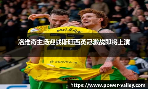 洛维奇主场迎战斯旺西英冠激战即将上演